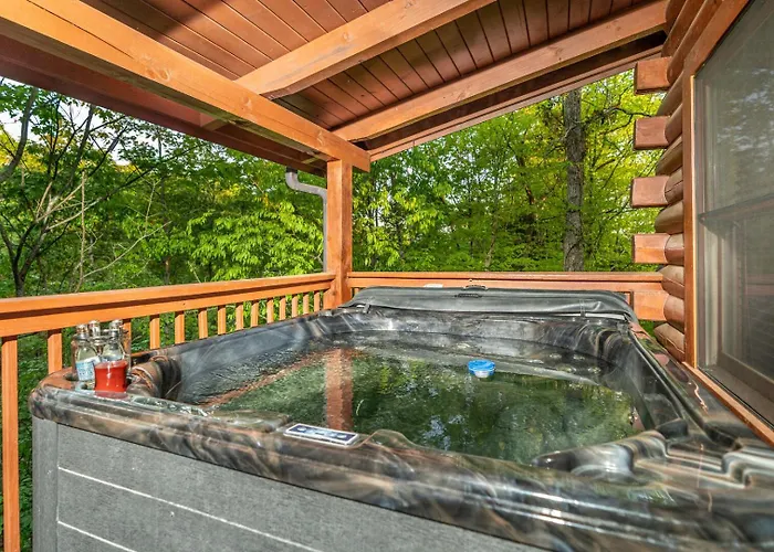 Bear Necessities By Eden Crest Villa Sevierville