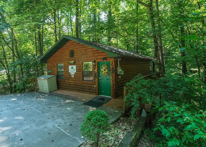 Beary Cozy Villa Pigeon Forge