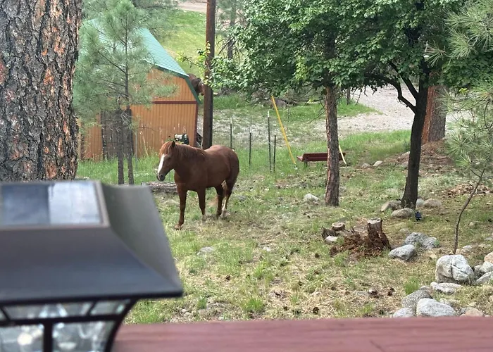 Gonzales Cozy Little Bear Cabin Ruidoso