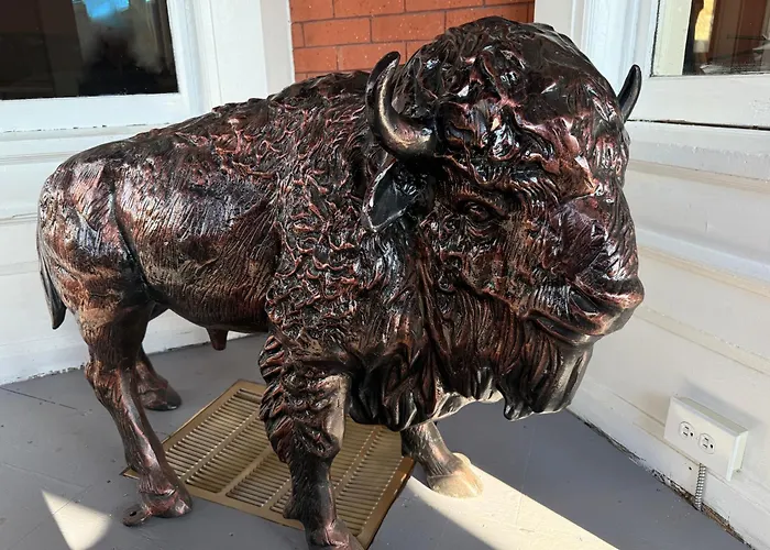 Buffalo Guesthouse