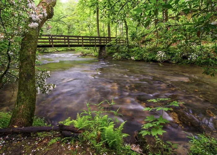 Sweet Mimosa Lodge By Avada Properties Sevierville