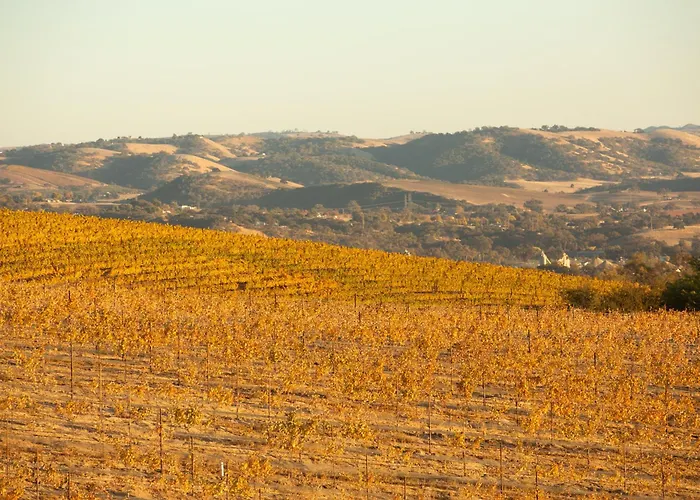 Kiler Ranch House Villa Paso Robles