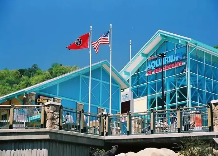 Papa Bears Cabin By Stony Brook Cabins Gatlinburg