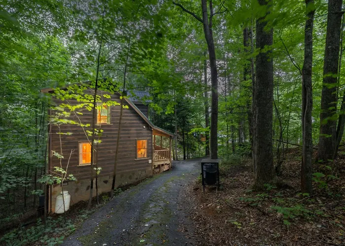 Romantic Escape For 2 Views, Hottub, Sauna & Dogs Sevierville