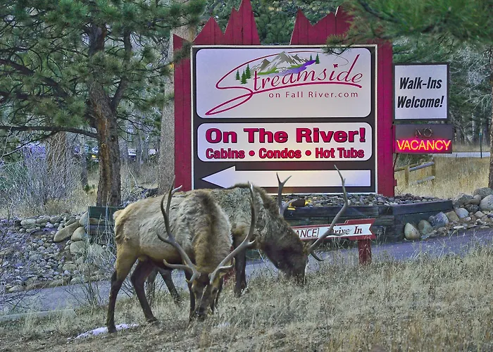 Streamside On Fall River Estes Park