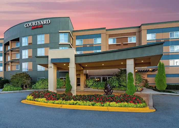 Courtyard Atlanta Mcdonough Hotel