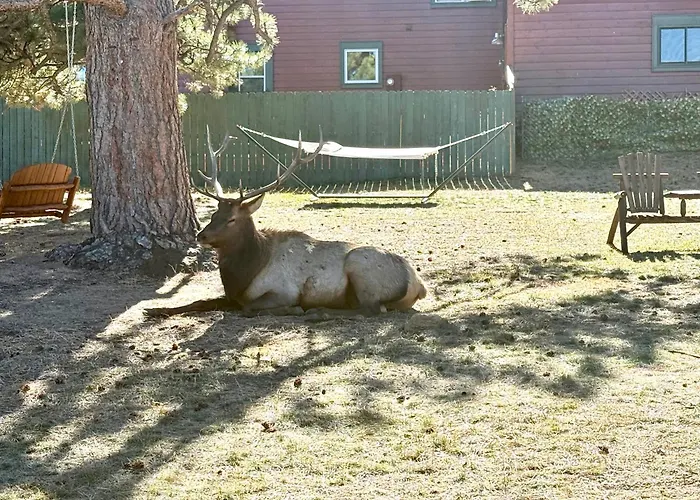 Mountain Shadows Resort Estes Park