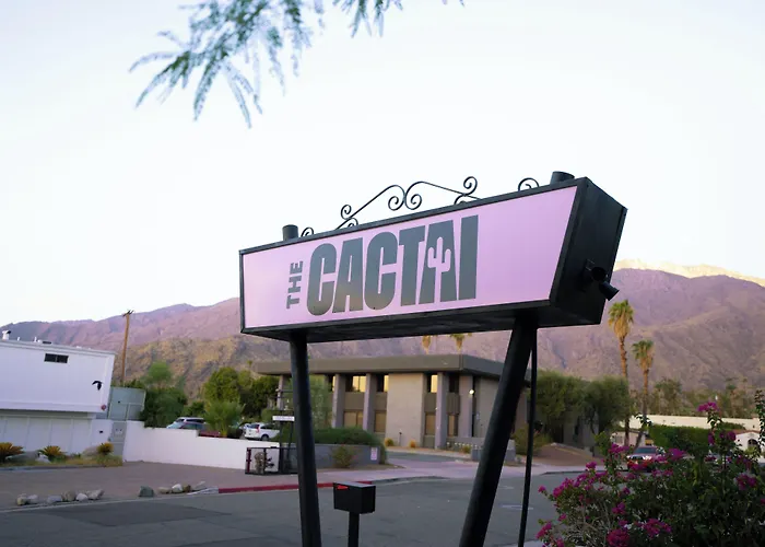 The Cactai Hotel Palm Springs