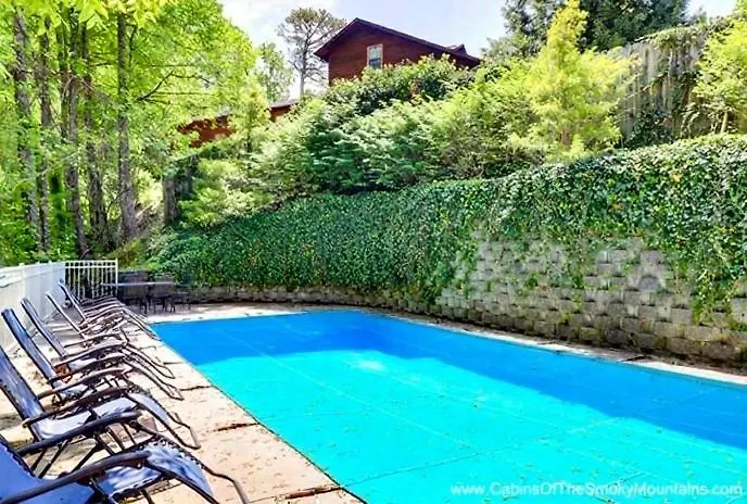 Splash Mountain Chalet: Private Pool Theater Gatlinburg