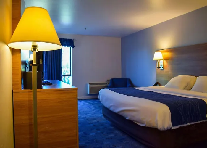 Comfort Inn Bellingham