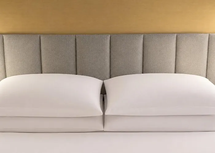 Crowne Plaza Orlando-Downtown By Ihg Hotel