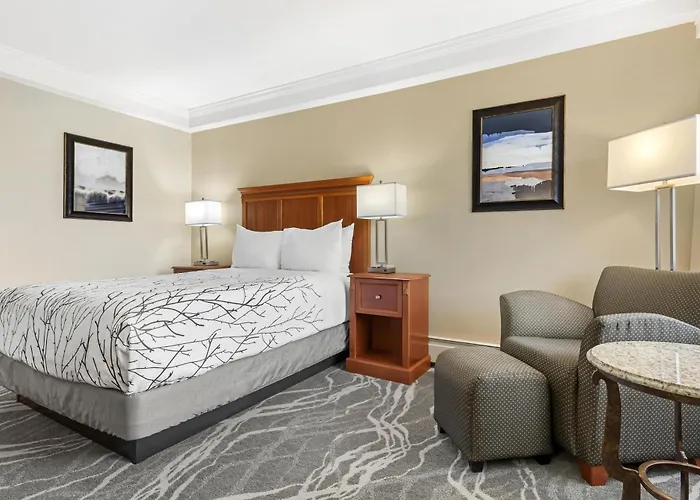 Best Western Plus Silver Saddle Inn Estes Park