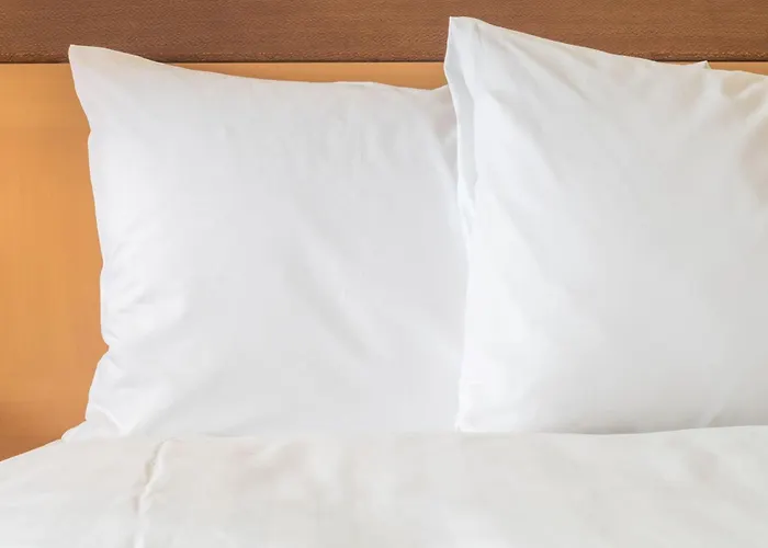 Holiday Inn Hotel & Suites Edmonton Airport Conference Centre By Ihg Nisku