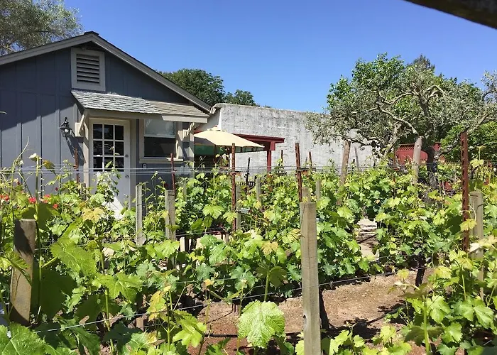 Andrea'S Hidden Cottage Sonoma