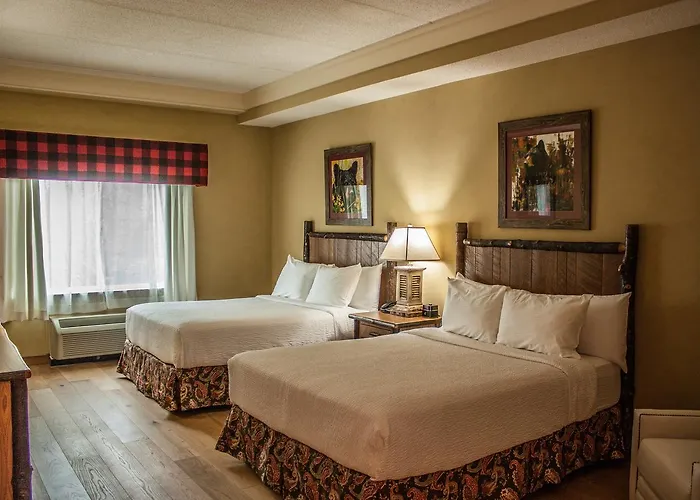 The Appy Lodge Gatlinburg